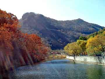 澳门二四六天天彩图库，电动门感应器价格